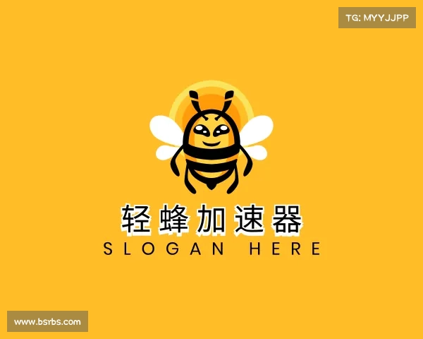 认识轻蜂加速器