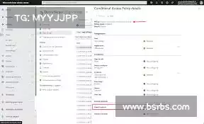 轻蜂加速器——洞察风险，预防隐患，保护您的数字资产！